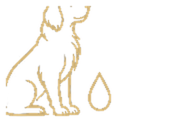 Logo Shamp-Son