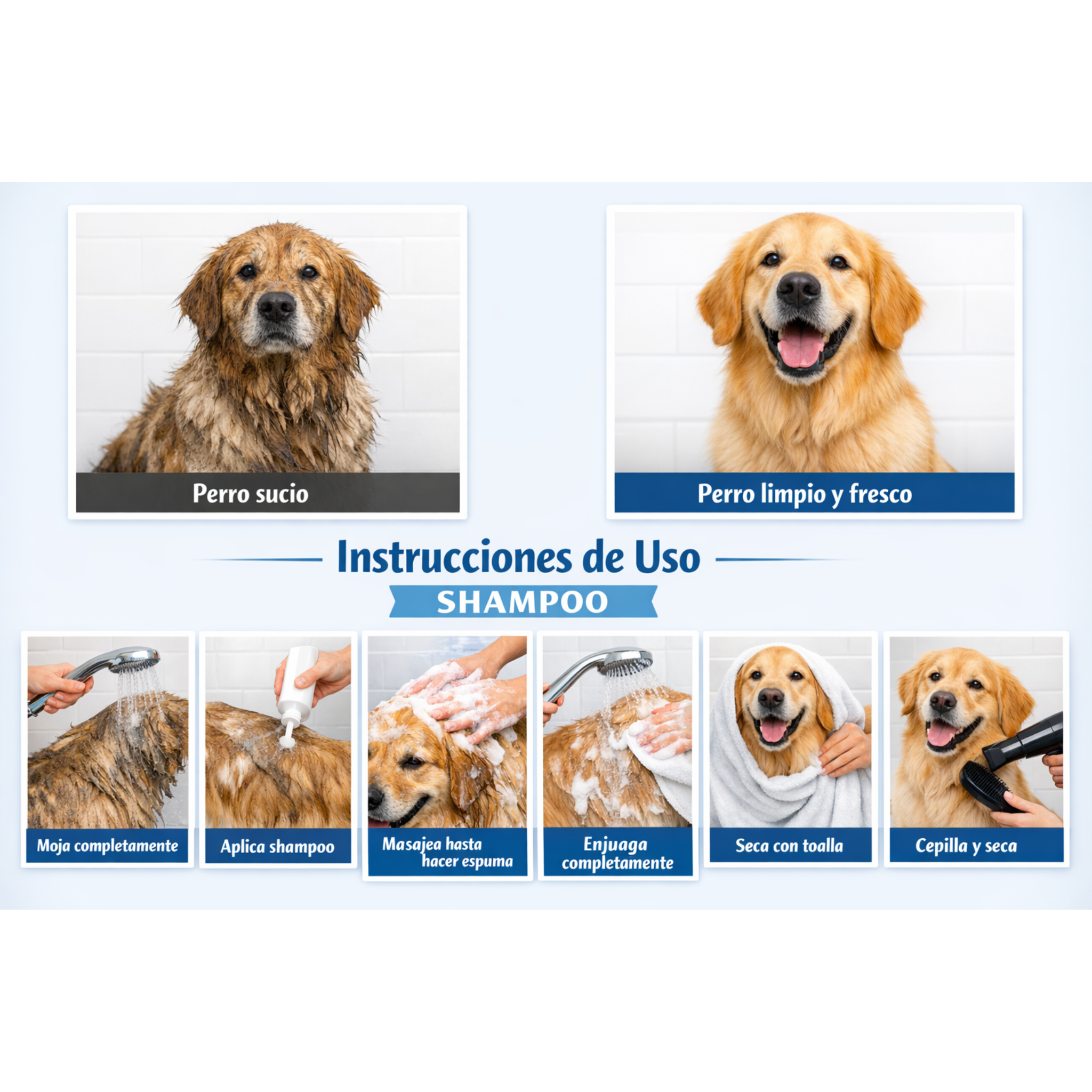 Instrucciones de uso SHAMP-SON